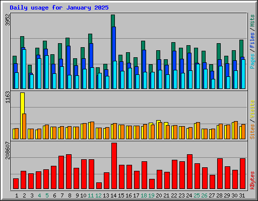 Daily usage for January 2025