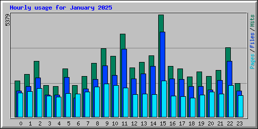Hourly usage for January 2025
