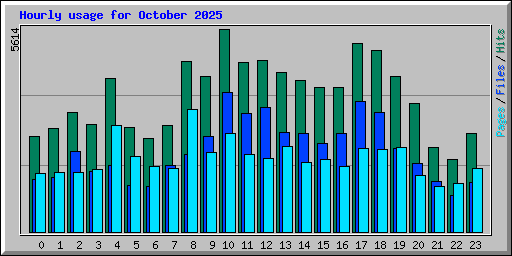Hourly usage for October 2025