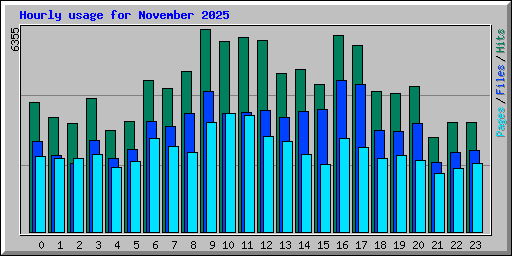 Hourly usage for November 2025