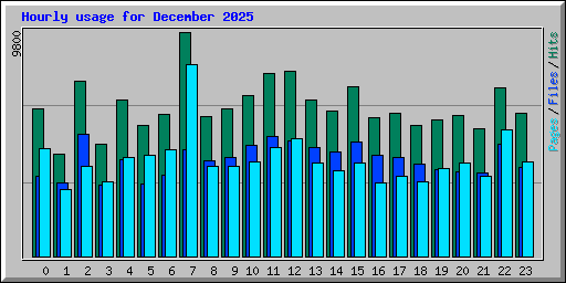 Hourly usage for December 2025