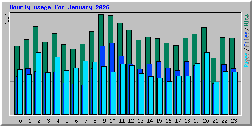 Hourly usage for January 2026