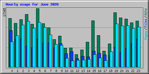 Hourly usage for June 2026