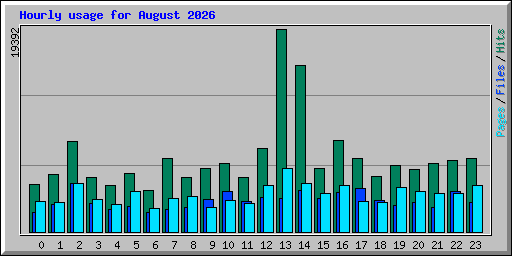 Hourly usage for August 2026